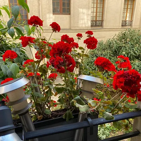 Appartement Cler Eiffel